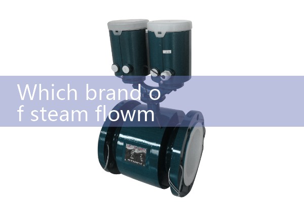Vortex flowmeter manufacturer